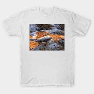 Frosty tussock T-Shirt